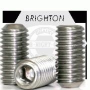 CUP POINT SOCKET SET SCREWS, STAINLESS STEEL 18 8 (INCH)