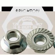 SERRATED FLANGE HEX LOCKNUT, CASE HARDENED, ZINC CR+3 (INCH)