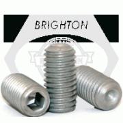 AMI MUCNTPL206-18CEW 1-1/8 STAINLESS SET SCREW WHITE TAKE-UP OPN/CLS COVERS 