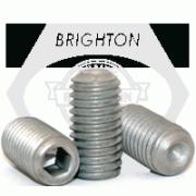 AMI MUCNTPL206-18CEW 1-1/8 STAINLESS SET SCREW WHITE TAKE-UP OPN/CLS COVERS AMI MUCNTPL206-18CEW 1-1/8 STAINLESS SET SCREW WHITE TAKE-UP OPN/CLS COVERS